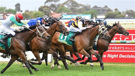 geelong cup odds|Geelong Cup 2023 .